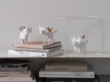 love-pets-gardeco-585802-relbf571bc7.jpg